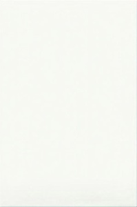 Плитка облицовочная белая 200*300