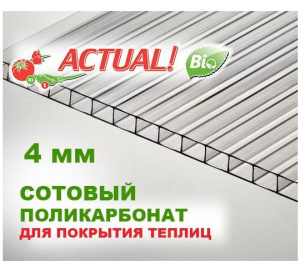 Поликарбонат сотовый прозрачный 4мм 2,1*6м Актуаль Био 0,6 г.Казань ***